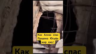История пророка Юсуфа мирему : от колодца до трона Египта! #shotrs