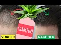 Füge diese natürliche Zutat zu deinem Shampoo hinzu, es ist gegen Kahlheit und für  Haarwachstum