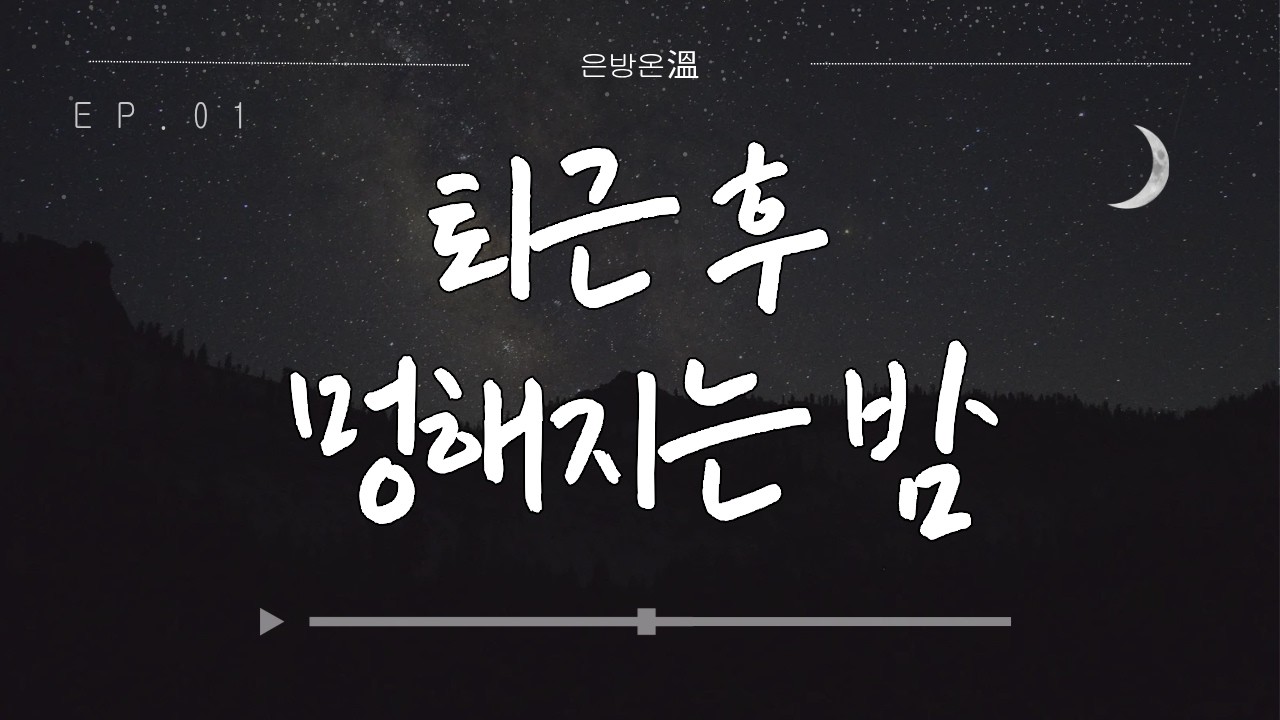 퇴근 후 멍해지는 밤 | 직장인 힐링 음악 20분 플레이리스트 (EP.01)