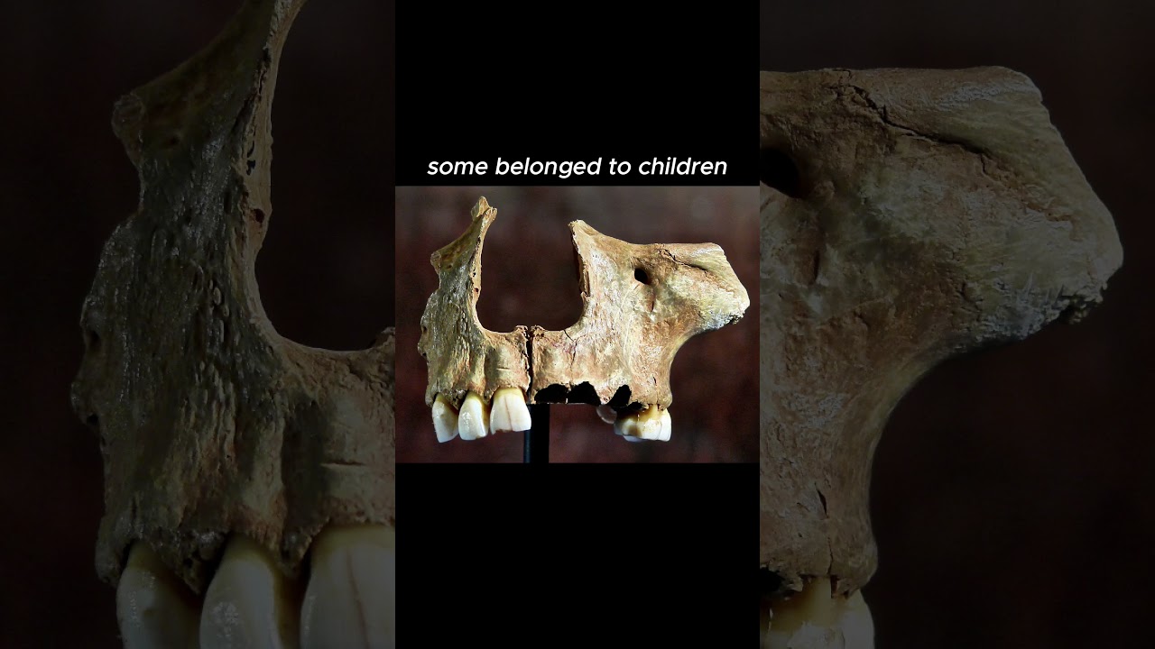 Prehistoric Humans Made Cups from Human Skulls! 