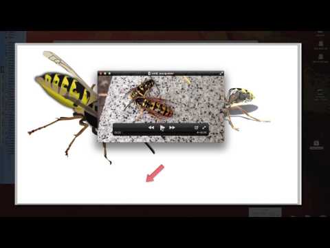 ScienceMan Digital Tips - Layout and Planning for Desktop Capture Lessons