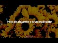 Post Malone, Swae Lee - Sunflower (remix) ft. Nicky Jam & Prince Royce (Sub. Español)