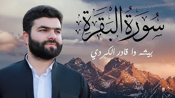 سورة البقرة كاملة - تلاوة خاشعة  للشيخ بيشه وا قادر الكردي | Sourate Al Baqarah - Peshawa Al Kurdi