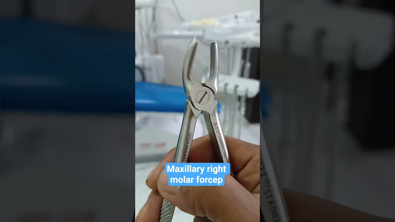 Maxillary right molar forcep 
