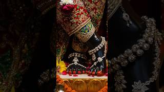 Mahaprabhu Jagannath Divya Darshan 🙏 | | Jay Jagannath#shorts #trending #ଜୟଜଗନ୍ନାଥ #viral #ପୁରୀଧାମ