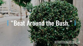 "Beat Around the Bush" Idiom Meaning, Origin & History | Superduper English Idioms