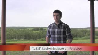 Affordable Testing Making Cattle Genomics an Integrated Part of Livestock Production