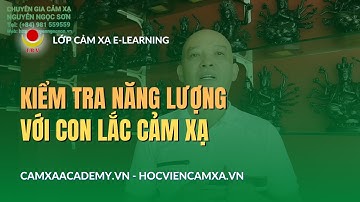 HƯỚNG DẪN TỰ KIỂM TRA NĂNG LƯỢNG SINH HỌC BẢN THÂN (+84) 981 559559) BẰNG LẮC VẬT CHỨNG | VIỆN I.B.V