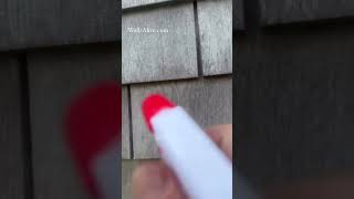 C2 Guard #homedecor #exteriorarchitecture #waterproofer #woodstain C2 Guard #homedecor #exteriorarchitecture #waterproofer #woodstain