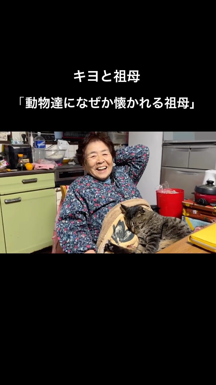 キヨと祖母(アラサーニートと4匹の猫) - YouTube