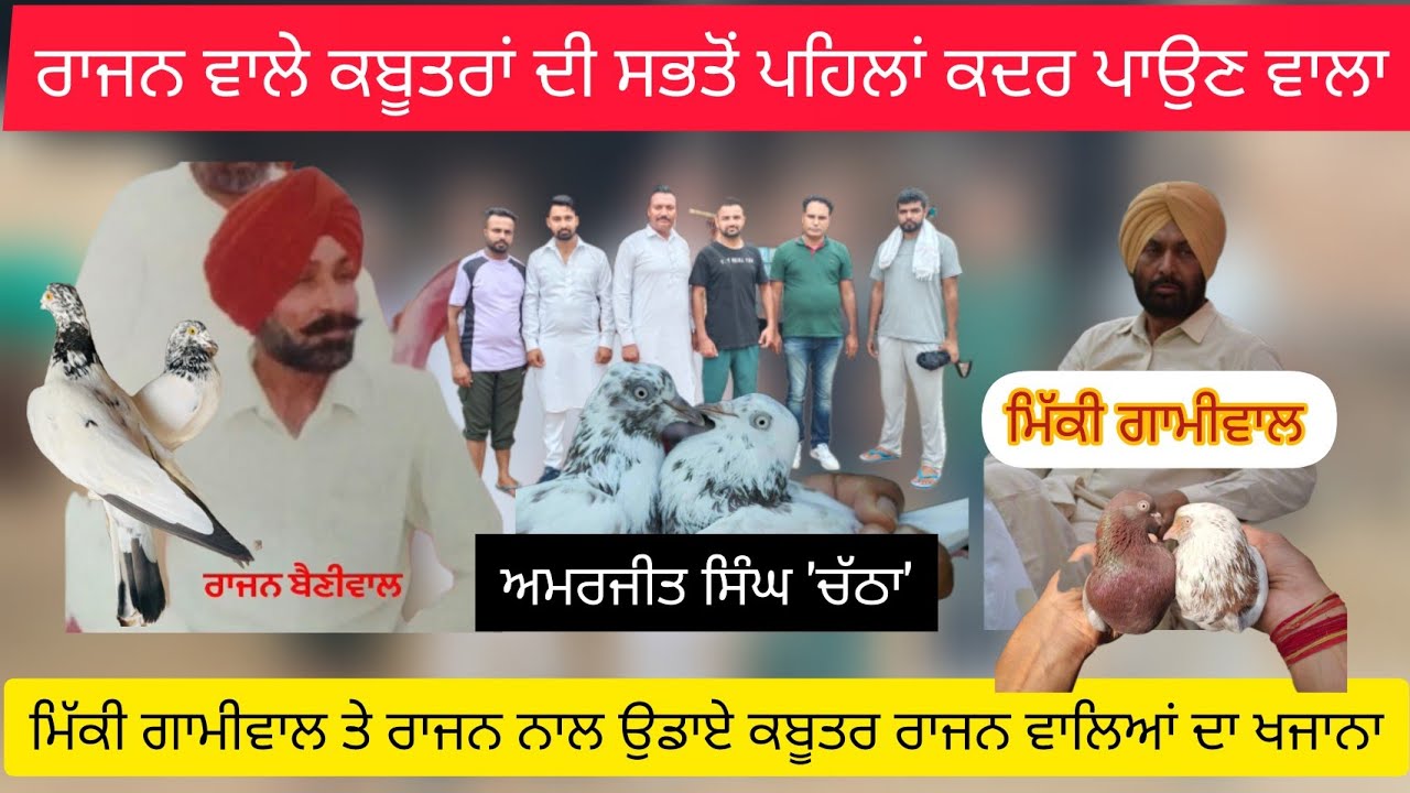 ik Shonk Kabootarbaazi Da full Interview ਅਮਰਜੀਤ ਸਿੰਘ 'ਚੱਠਾ' ਸੁਪਰ ਸਟਾਰ ਕਬੂਤਰ ਬਾਜ #kabootar #blog