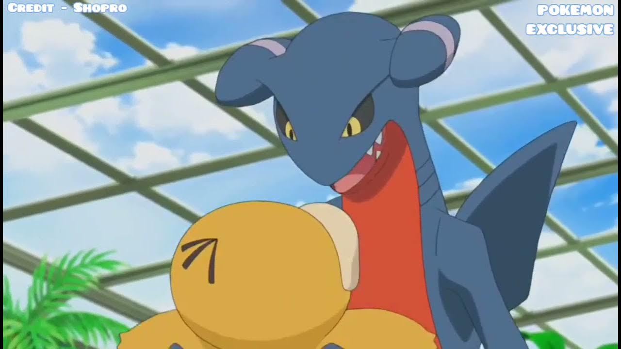 Pokemon gabite evolves into garchomp YouTube