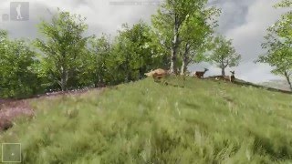 Unreal Engine 4: Kite Demo (Open World erkunden)