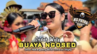 BUAYA NGOSED • INDAH WATY • KS PUTRA • Show Mekargading Blok Lamaran Sliyeg 