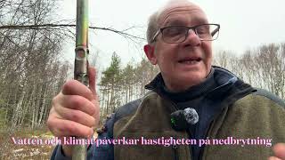 Torv. Jordarten torv. Våtmarkens jordart. 4 minuter om torvjordarter. Med Geologen Mange magister!
