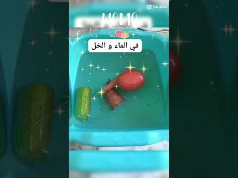 مقرونة جارية باللحم و الخضار للرضع من 10 اشهر