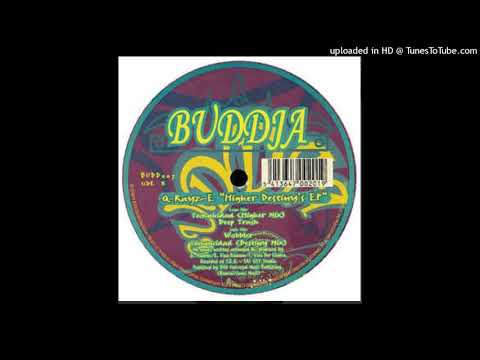 Q-Rayz-E — Q RAYZ E - TECHNICIDAD ( DESTINY MIX)