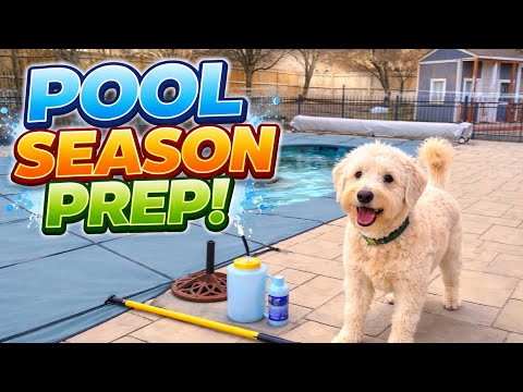 Pool season prep with the cutest helper! 🐕🥰