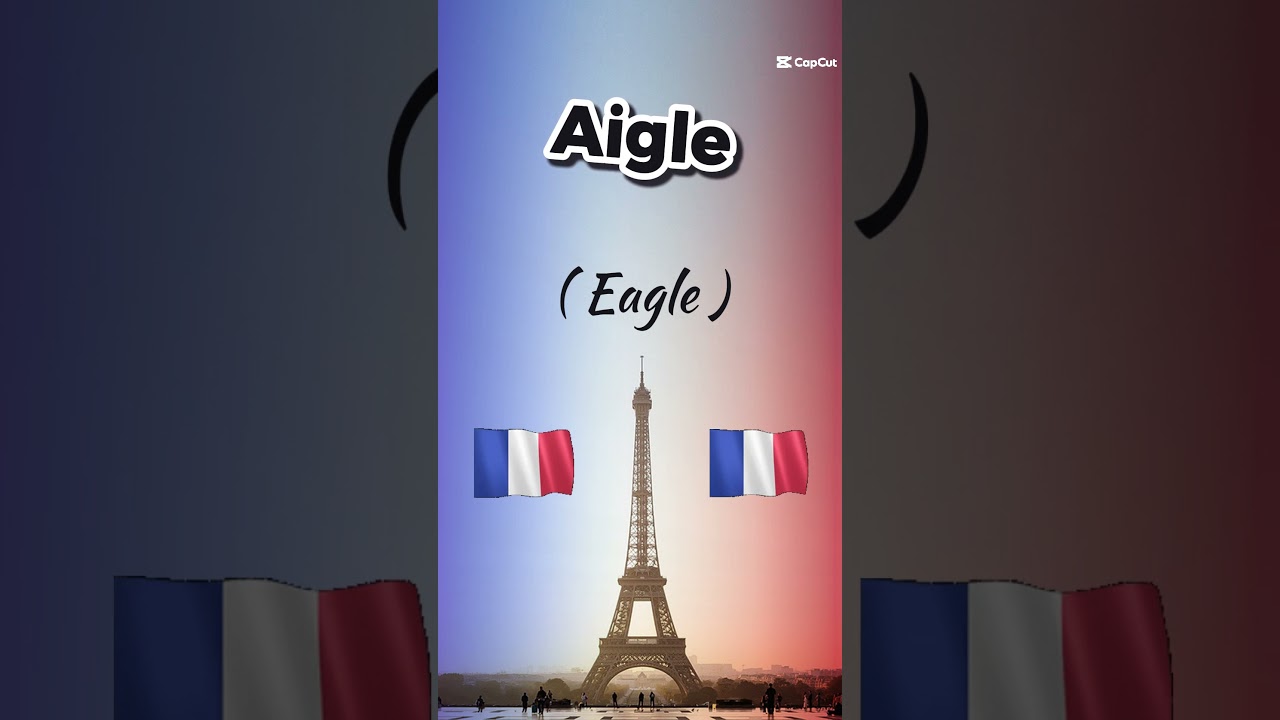 How to Pronounce Aigle in French #learnfrench #frenchforbeginner #frenchlessons #frenchlanguage