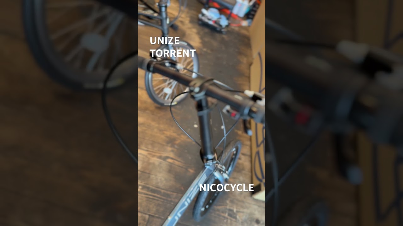 UNIZE TORRENT 入荷しました！良いですよ！