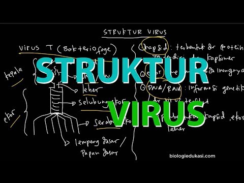 Video: Bakteriofag Stafilokokus - Petunjuk Penggunaan, Harga, Ulasan
