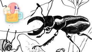 Download Lagu These Are The Best Bugs MP3 Download Lagu These Are The Best Bugs MP3