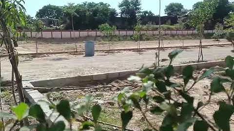Plots For Sale In Narayan Vihar Mansarovar Jaipur Call 9602162643 Rate 65000/Gaj Road 80 Feet #plot