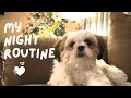 Shih Tzu Puppy's Night Routine | Bedtime Routine