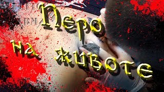 Тату-ПЕРО на животе. Как это БЫЛО?