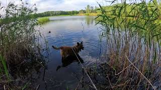 Рыбалка на карьерах и озёрах Оренбург