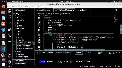Laravel 10  : V24 Blade / extends & yield & section