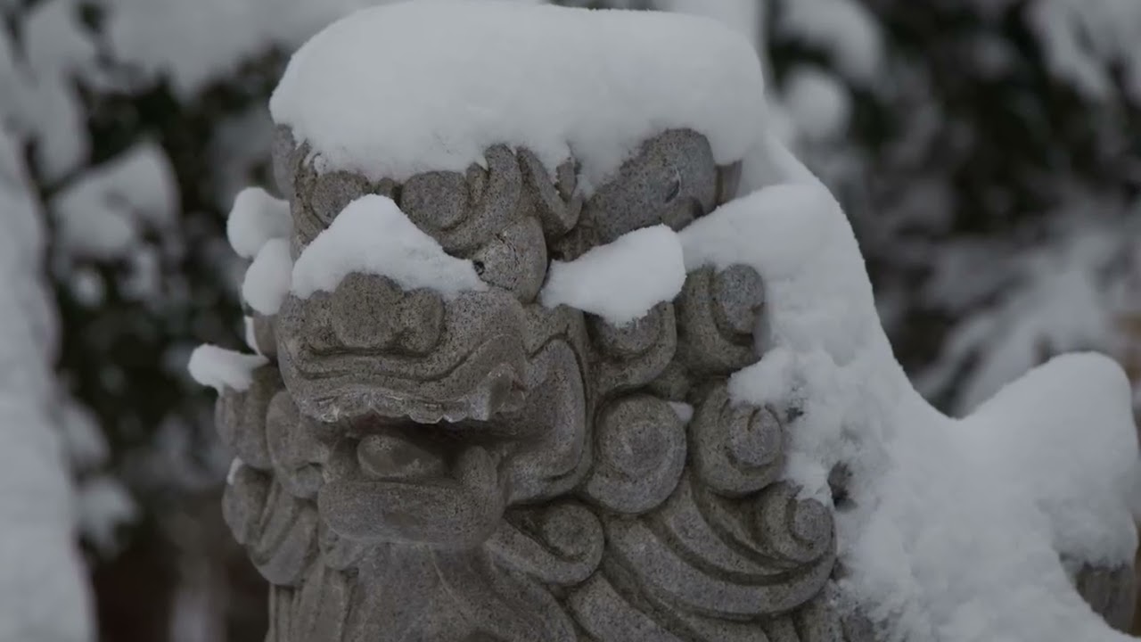 初詣2026年　琴似神社