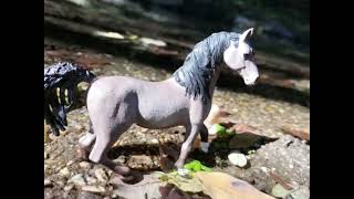 Schleich Horse Photography Forest