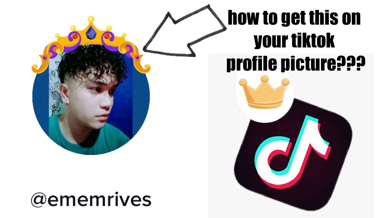 How to get Crown on your tiktok profile picture- animate me effect on tiktok