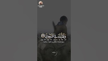 رعد محمد الکردي | حالات واتس اب | سورة الشعراء راحة نفسية