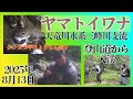 夏なのに涼しい✨️今度は上から入渓🎣良型イワナを追い求め楽しんで来ました🎣【長野県天竜川水系】