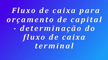 O que significa fluxo de caixa terminal?