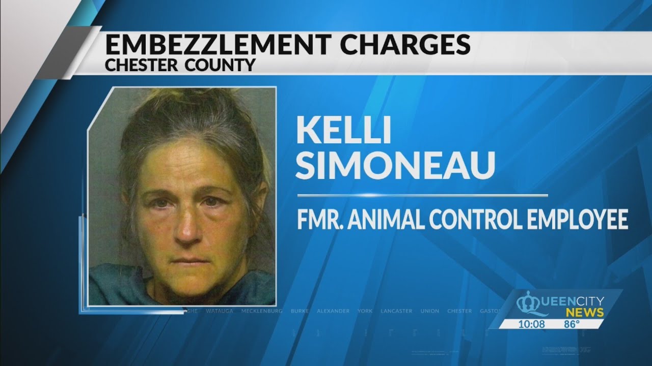 Former Animal Control director identified her personal cat as a stray
