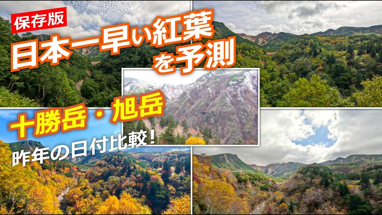 垣間見る自然/Glimpse of Nature CHK日本語foil YouTube