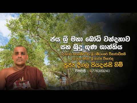 ජය ශ්‍රී මහා බෝධි වන්දනාව සහ බුදු ගුණ ශාන්තිය |  පූජ්‍ය දීගල පියදස්සි හිමි
