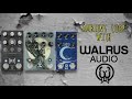 AMBIENT LOOP with WALRUS!! (SLO, LORE, R1) - Alfonso Corace