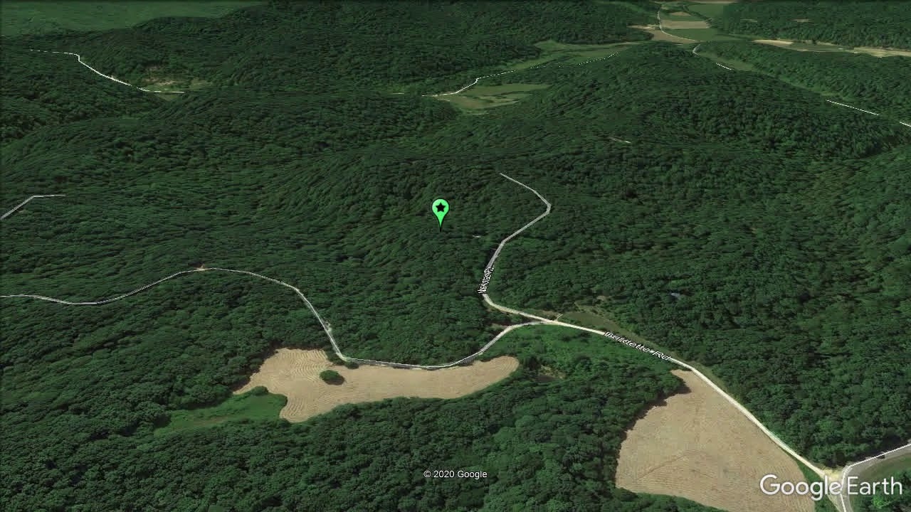 Land For Sale 5.97 Acres in Metcalfe County, KY YouTube