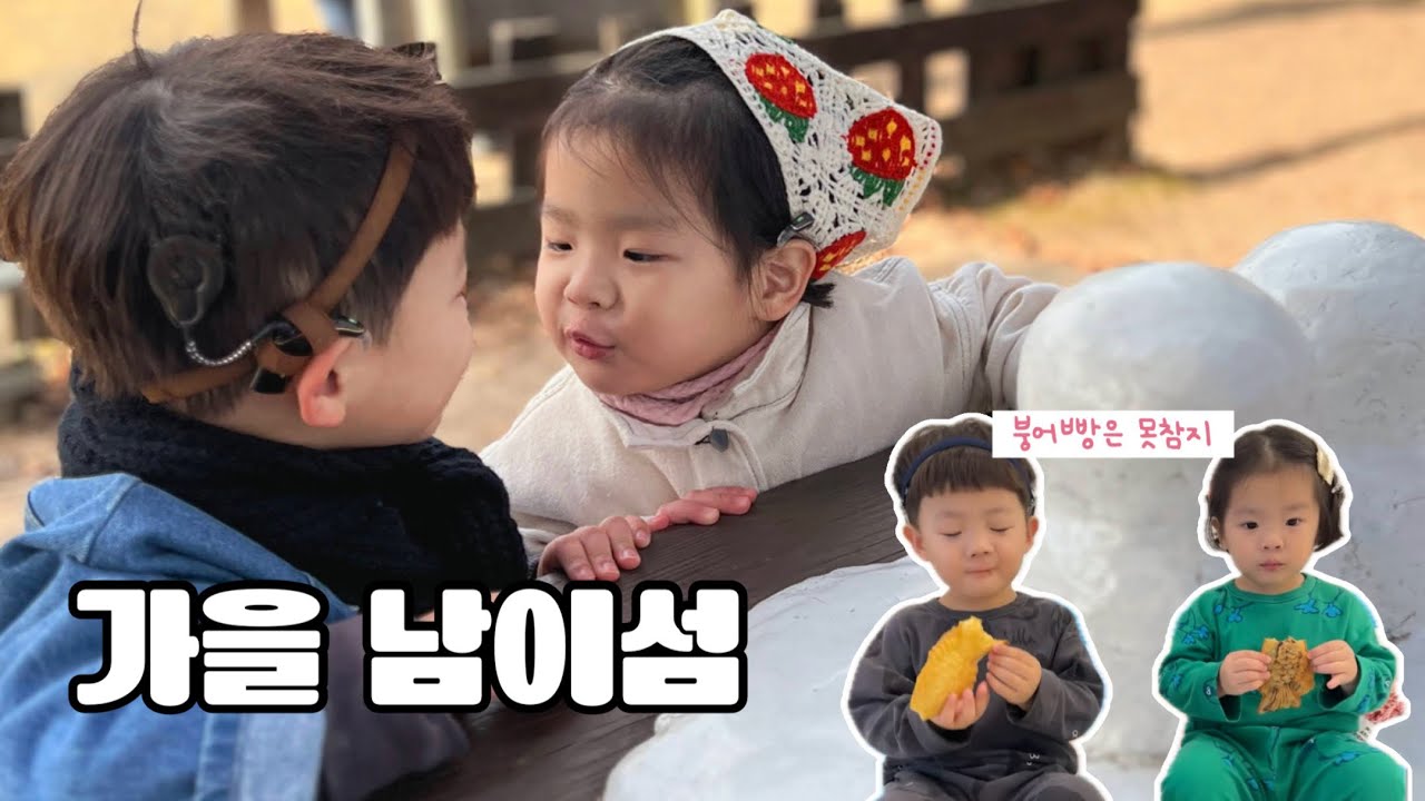 [해이수네] 이모네서 노는 일상,가을 남이섬 여행🍁