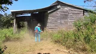 Famous Shocking Haunted House Cleanup: Female Ghost & Giant Python Ambush! Wealth