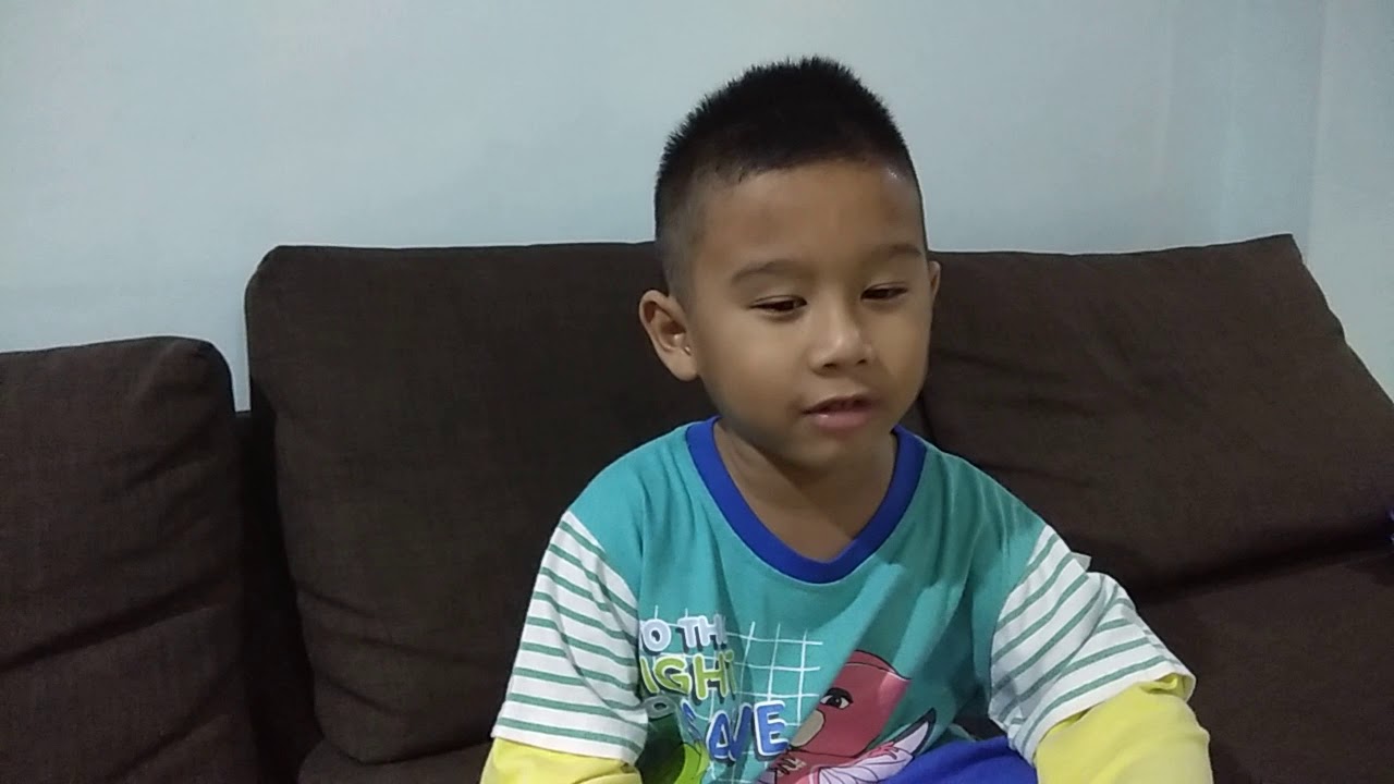 Beda Anjing Laut Singa Laut Dan Walrus Youtube