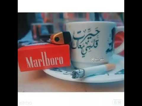 صحابي في الشده اتنين في المصلحه يبقوا الفين