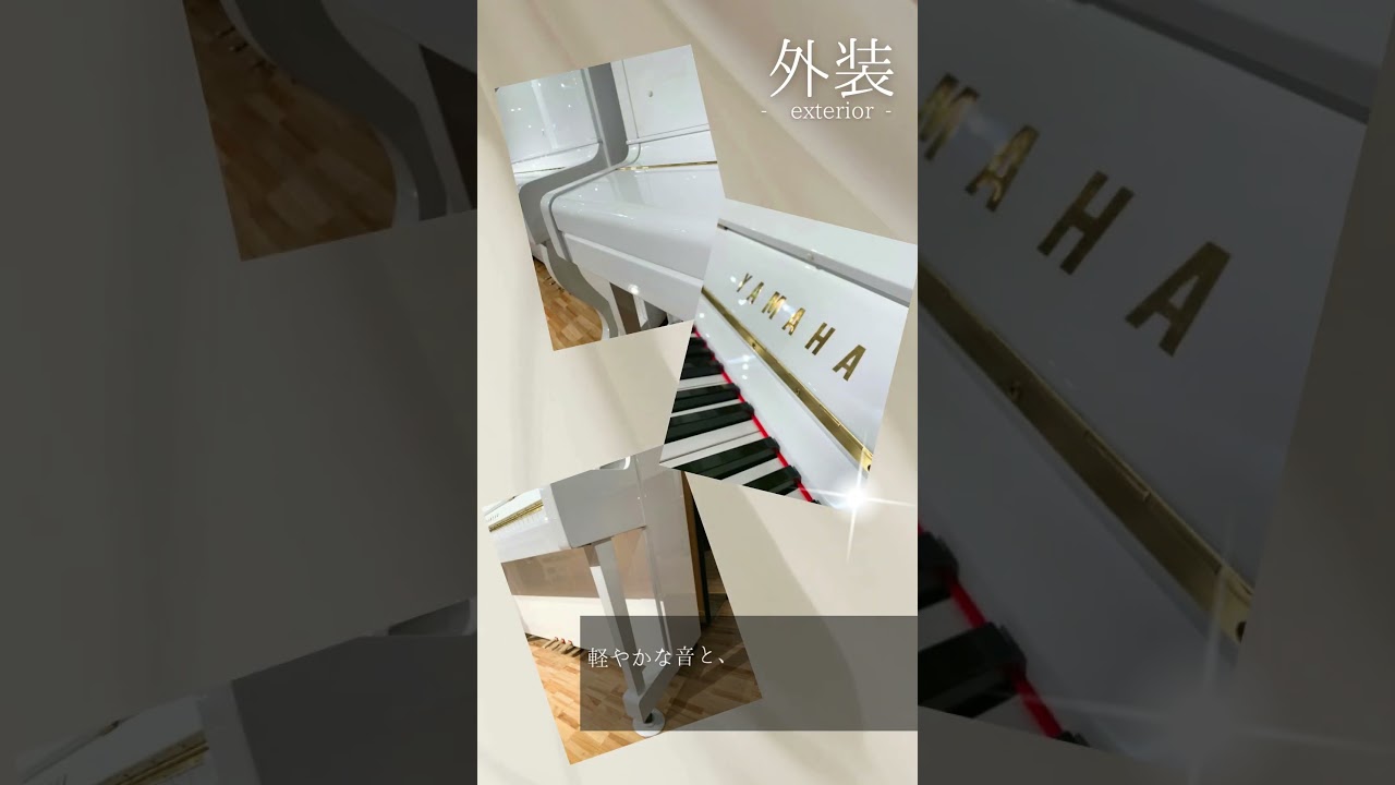超価格、ディアパソン、D132DW、新品サイレント付、高級オーハシ