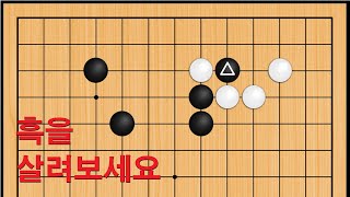 바둑 사활 맥점  - 초고속 바둑실력상승 비결은 이 묘수 기억하세요. 흑을 살려보세요 screenshot 2