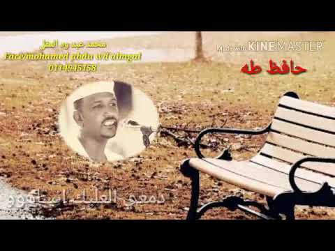السلطان حافظ طه حاله شوقي العليك انساهوو