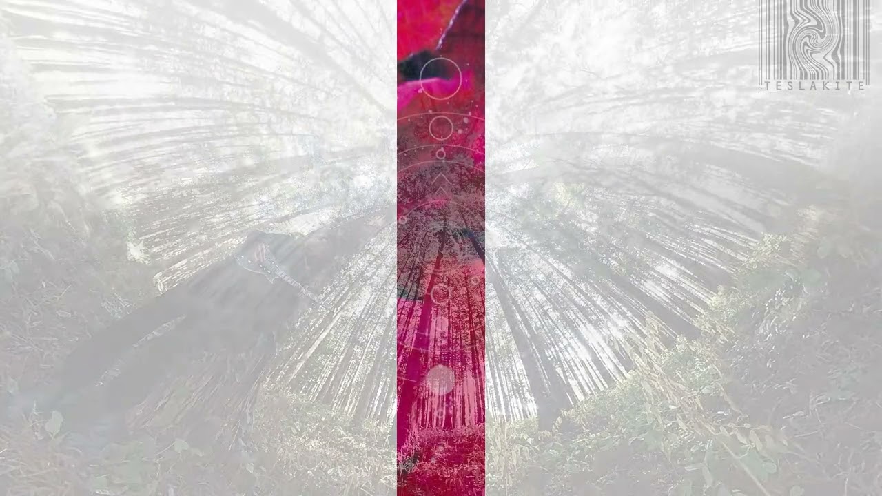 可愛いクリスマスツリーやギフトが！ 記憶草の万象歴 / The History of Omnificence in Memory Grass 邦楽